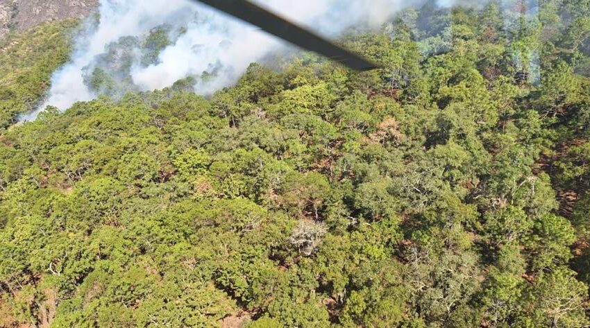  Gobierno Potosino brinda apoyo oportuno contra incendio en límites con Guanajuato