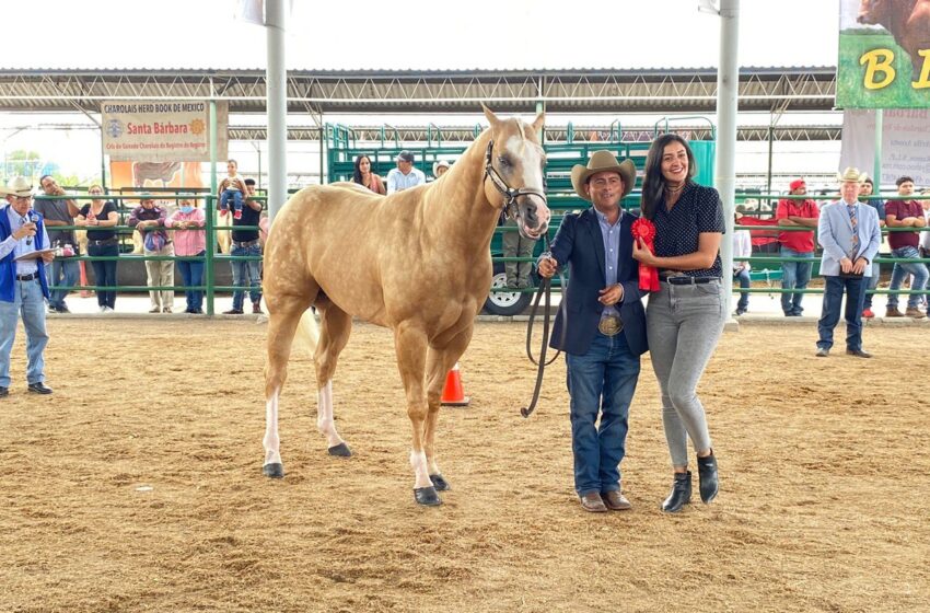  Fenapo logra éxito en muestra de caballos cuarto de milla