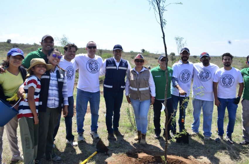  Emprende municipio acciones de reforestación y restauración de suelo en Bosque de Los Cobos