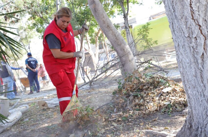  Ayuntamiento de la Capital fortalece las áreas verdes de la ciudad