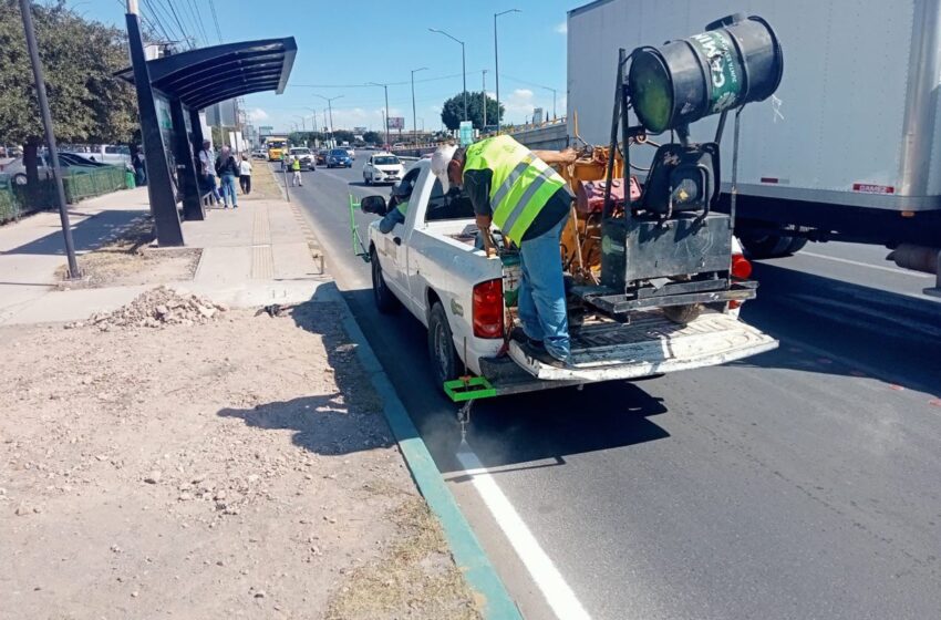  JEC realiza acciones de conservación en carril de Metrored