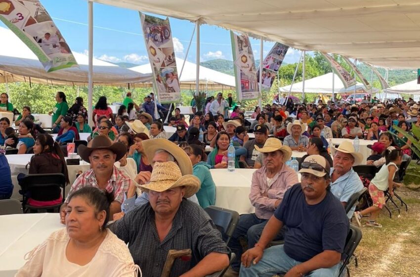  Entrega Estado más apoyos a productores de Santa Catarina