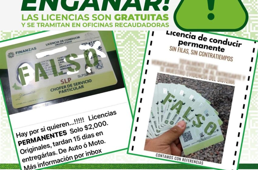  SEFIN alerta sobre venta de licencias de conducir falsas