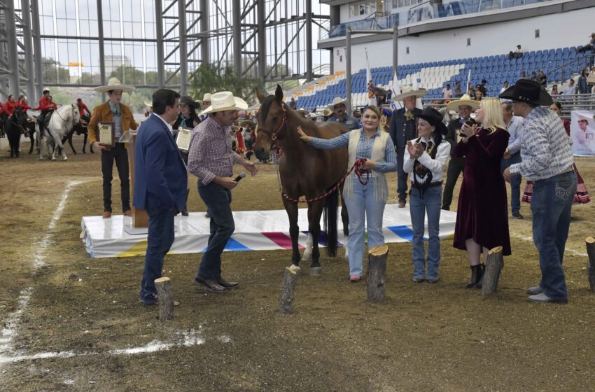  Recibe DIF Estatal caballo para brindar equinoterapia a niñas y niños con discapacidad