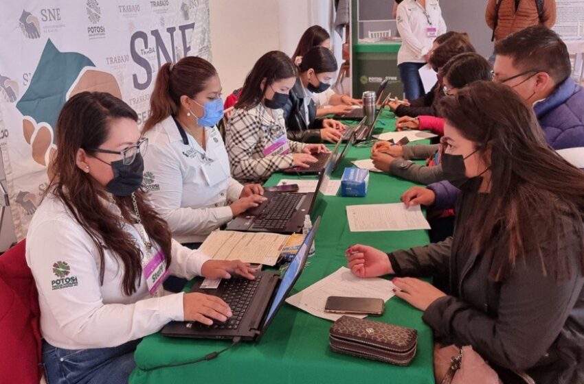  Gobierno acerca empleo temporal a jóvenes