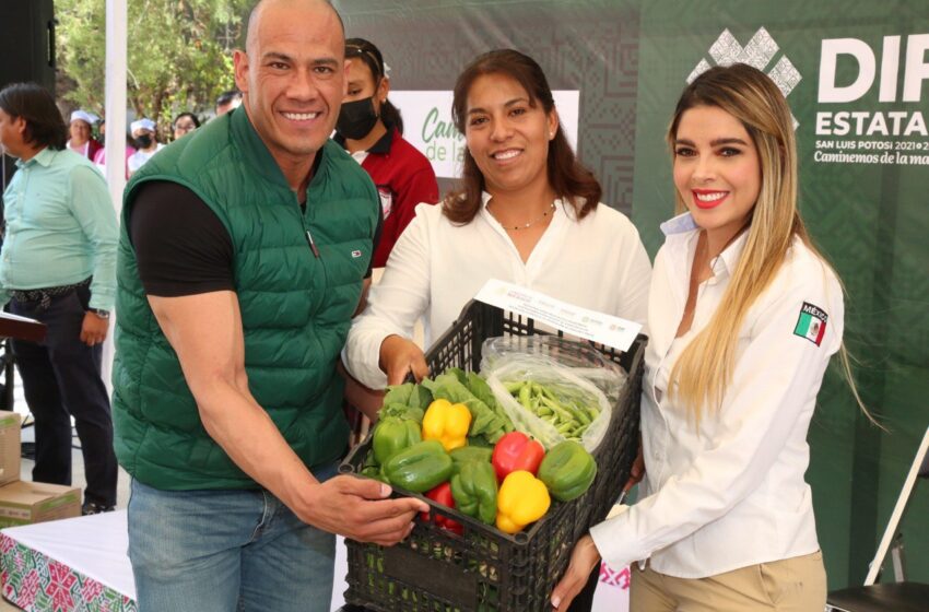  Una vez más, DIF Estatal recibe distinción nacional por programas alimentarios