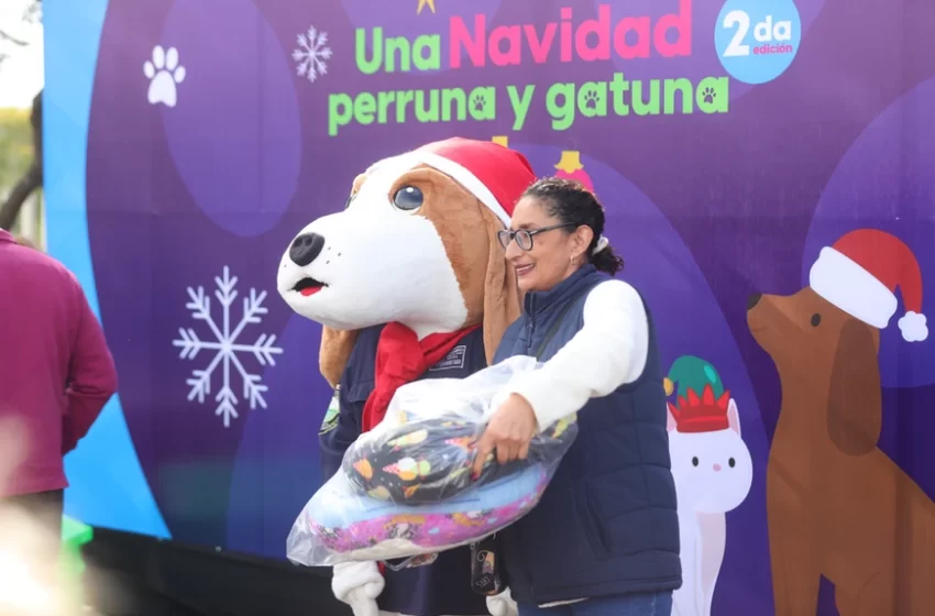  Familias de Aguascalientes apadrinan a gatitos y perritos de albergues esta Navidad