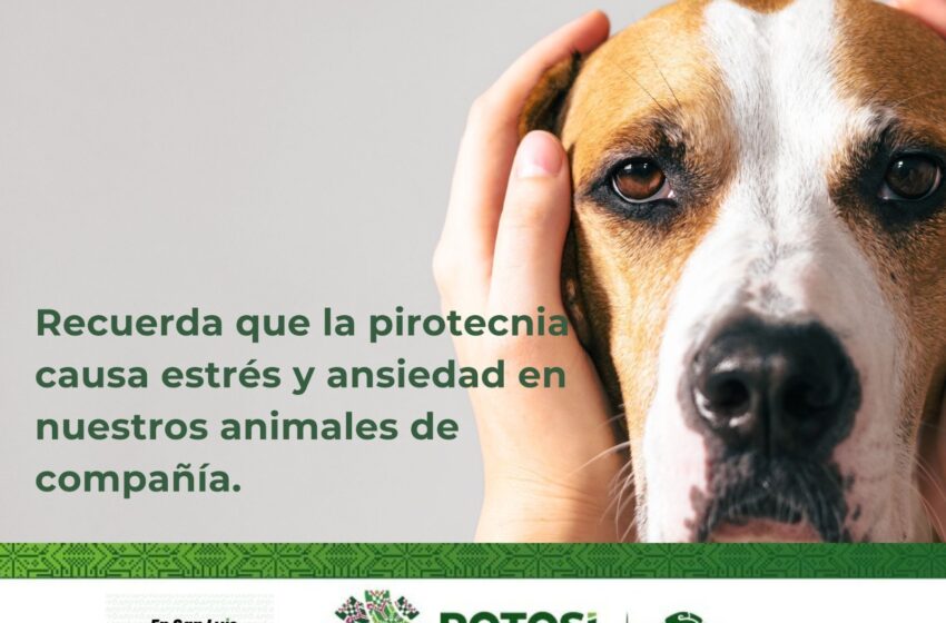  Protección Civil Estatal arranca campaña #CelebraSinPirotecnia