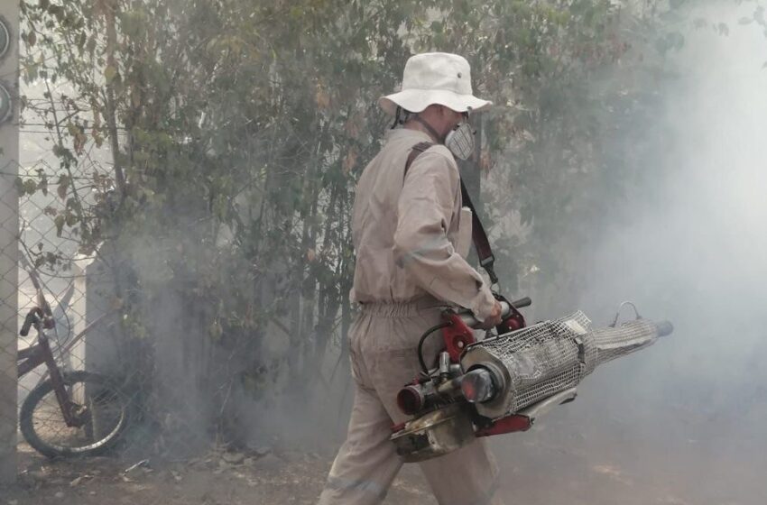  Durante 2024, reforzará Gobierno medidas contra el dengue en SLP 