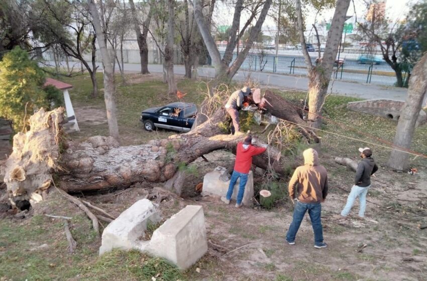  Martes 9 de enero el Tangamanga I permanecerá cerrado