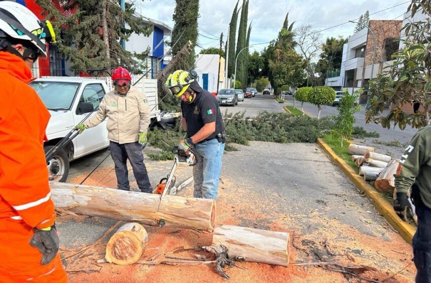  Gobierno Estatal brindó apoyo y atendió reportes por ráfagas de viento