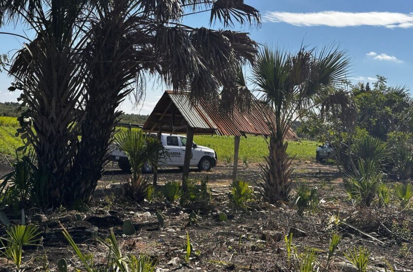  Operativo BOM en delegación rascón con recorridos de seguridad y vigilancia