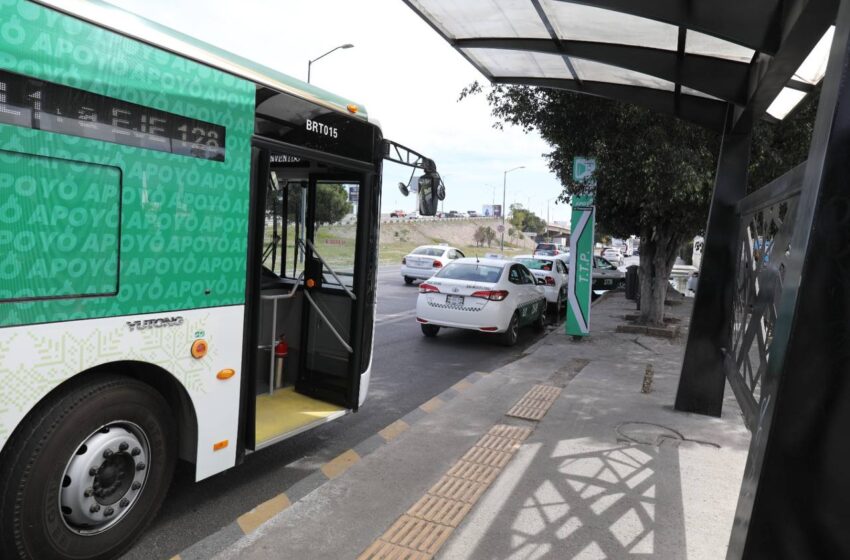  MetroRed: Transformación del Transporte en la Zona Metropolitana