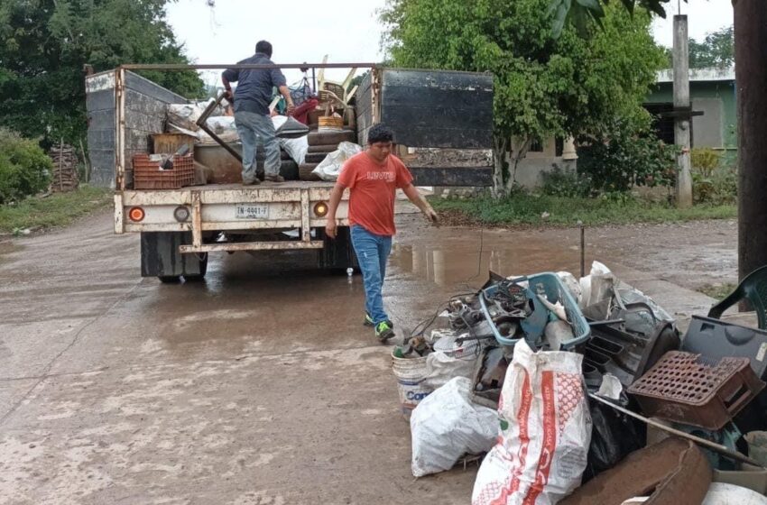  En apoyo a familias potosinas, se fortalecen acciones contra el dengue