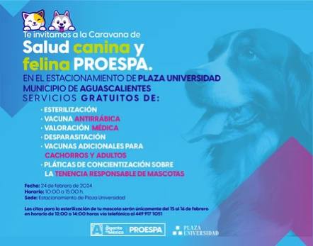  Servicios veterinarios gratuitos este sábado en Plaza Universidad