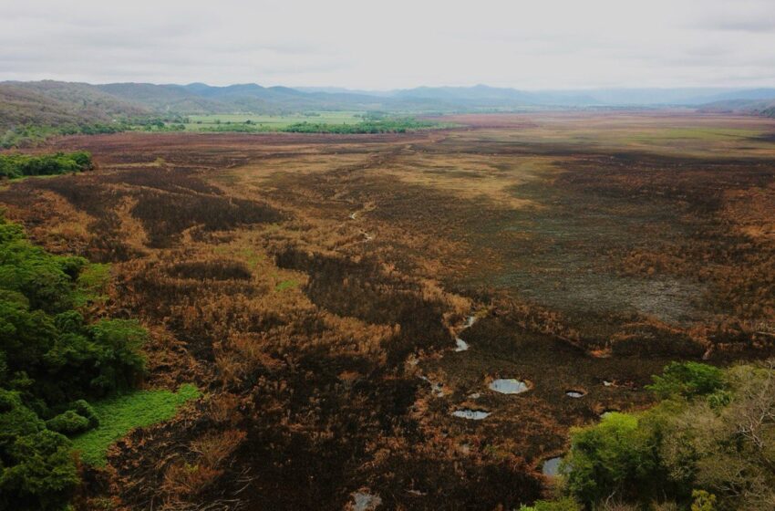  Evaluación de Daños por Incendio Forestal en Ciénega de Tamasopo