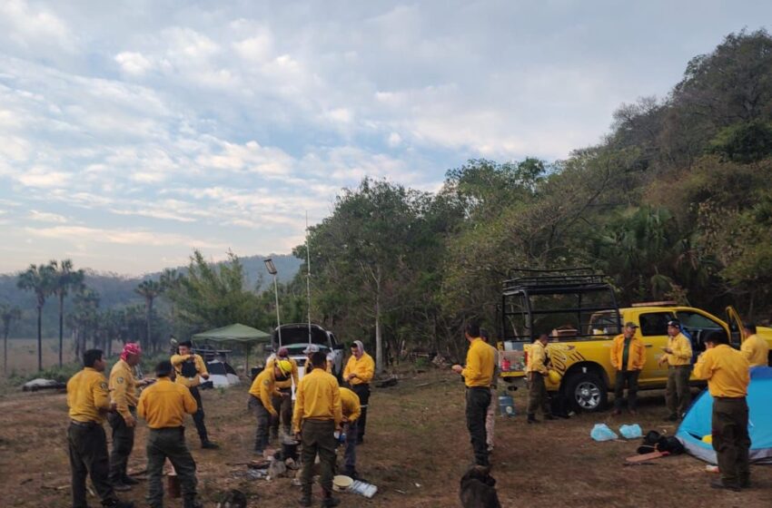  250 Brigadistas Combaten Incendios Forestales en San Luis Potosí