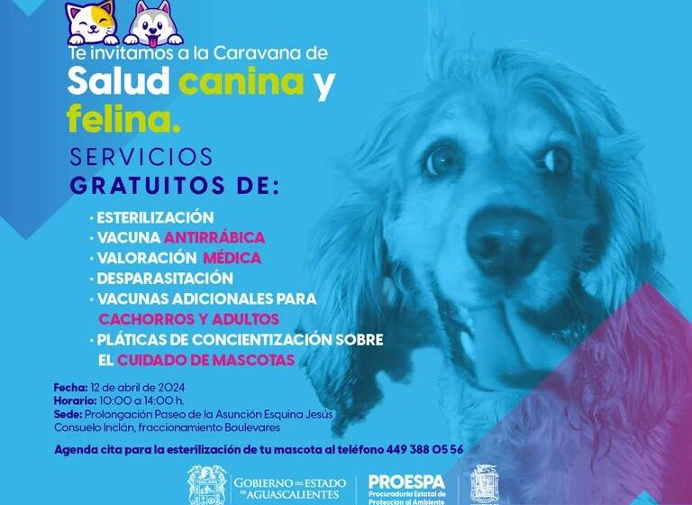  Servicios Veterinarios Gratuitos en Aguascalientes y Jesús María