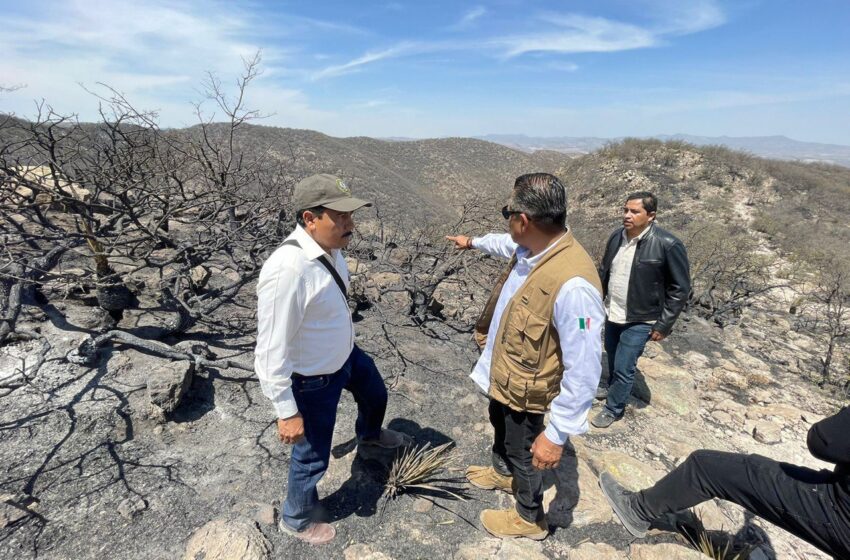  Incendio en Sierra de San Miguelito Totalmente Controlado