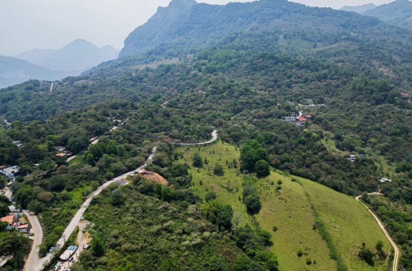  Inauguración del Camino Apetzco-Xilitla Revitaliza la Conectividad y el Desarrollo en la Región