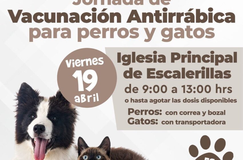  Este Viernes, Jornada de Vacunación Antirrábica Gratuita en Escalerillas