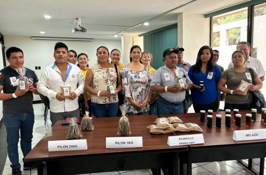  Proyecto de Vinculación de la UASLP Beneficia a Productores de Piloncillo en la Huasteca