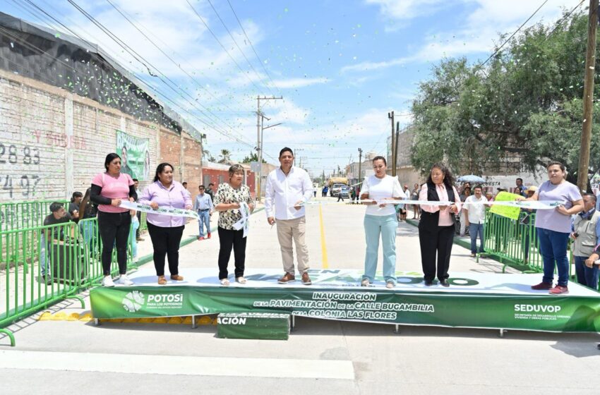  Con Inversión de 49.8 MDP, Pavimentan Calles en Las Flores