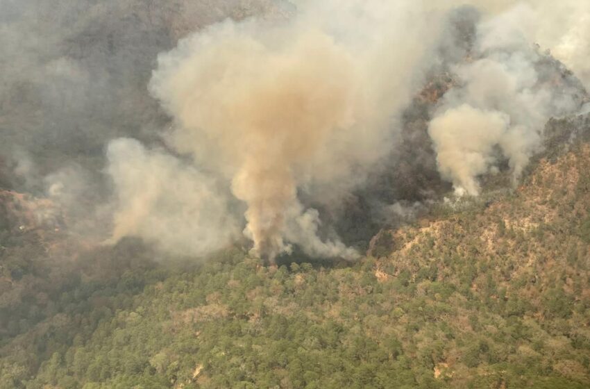  Gobierno combate incendio forestal en Santa María del Río