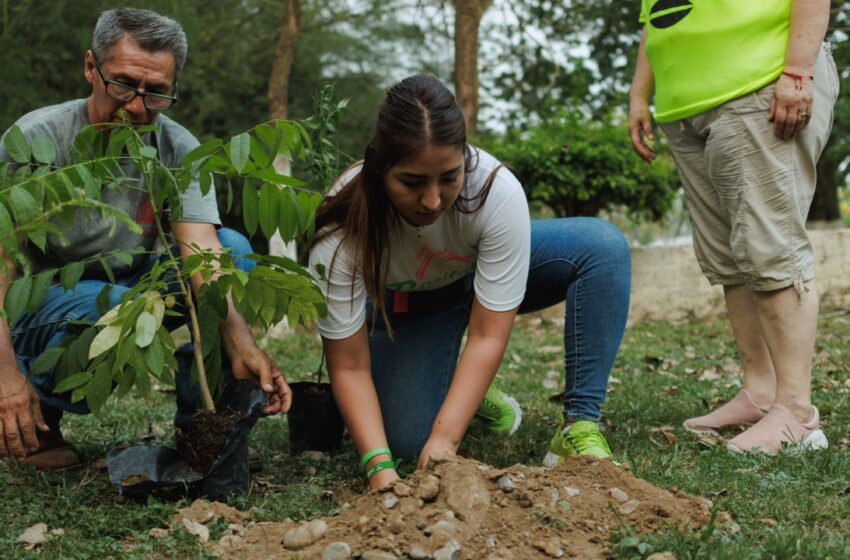  Roxanna Hernández refuerza su compromiso con el medio ambiente a través de acciones de reforestación