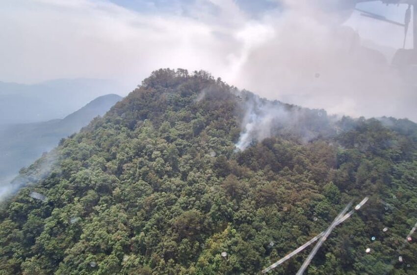  Gobierno de San Luis Potosí Atiende Incendio en Sierra de Xilitla