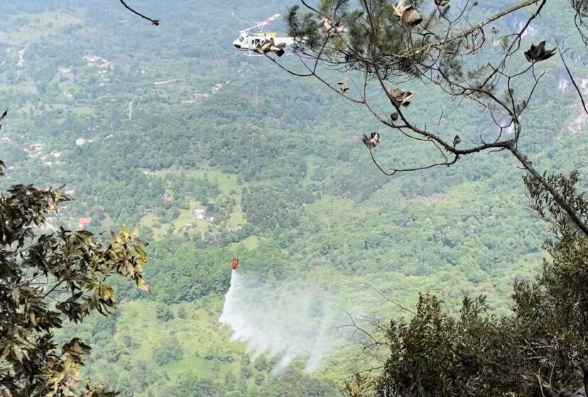  Controlado incendio forestal en Xilitla tras rápida intervención estatal