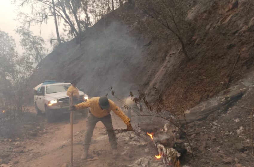  Continúan esfuerzos para controlar incendio en Santa María del Río