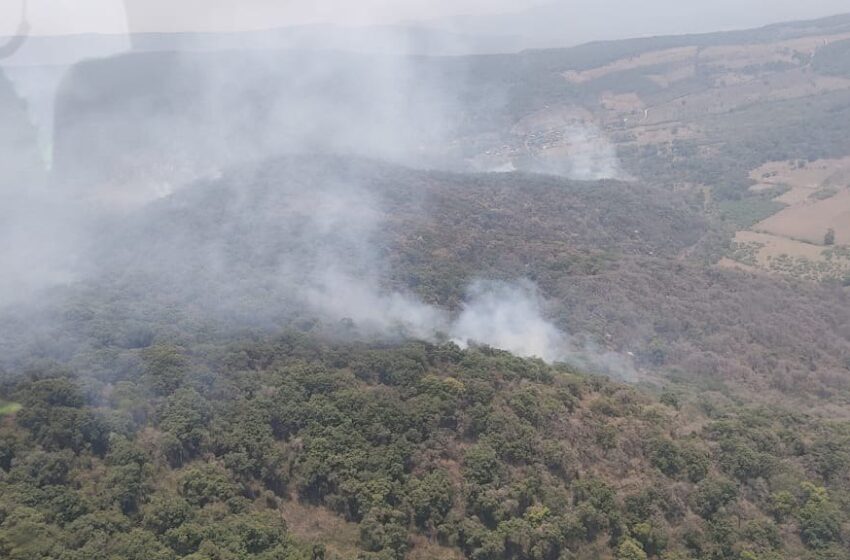  Gobierno Estatal Responde al Incendio Forestal en Tamasopo