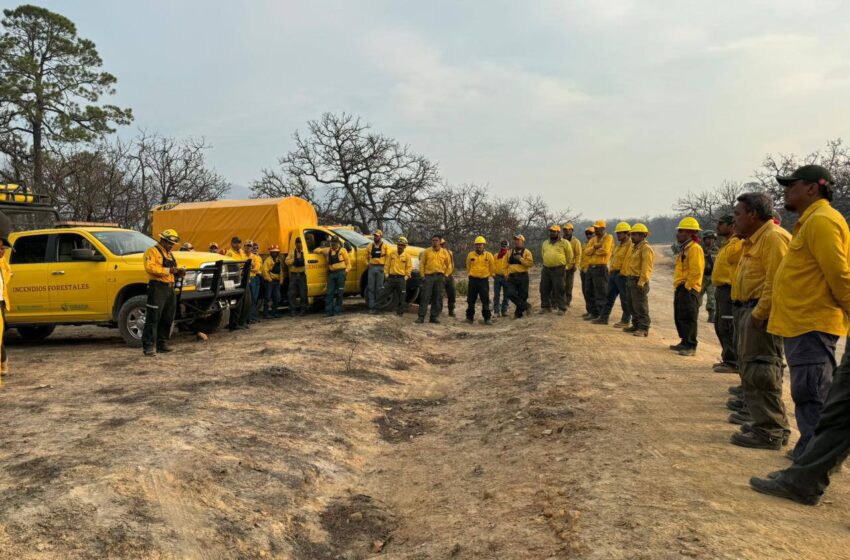  Gestión Eficiente en la Lucha Contra Incendios en San Luis Potosí