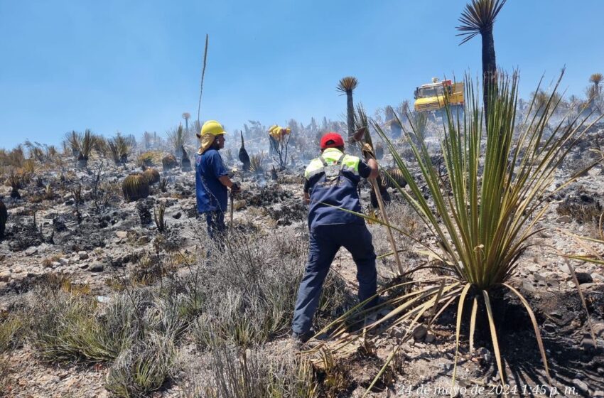  Control total de los incendios forestales en el estado: Autoridades entregan áreas afectadas