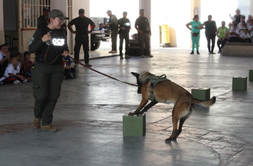  Guardia Civil Estatal Refuerza Valores en Escuelas de San Luis Potosí