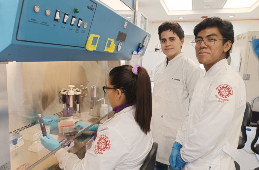  Estudiantes de la UASLP participan en investigación sobre hantavirus en el 30 Verano de la Ciencia