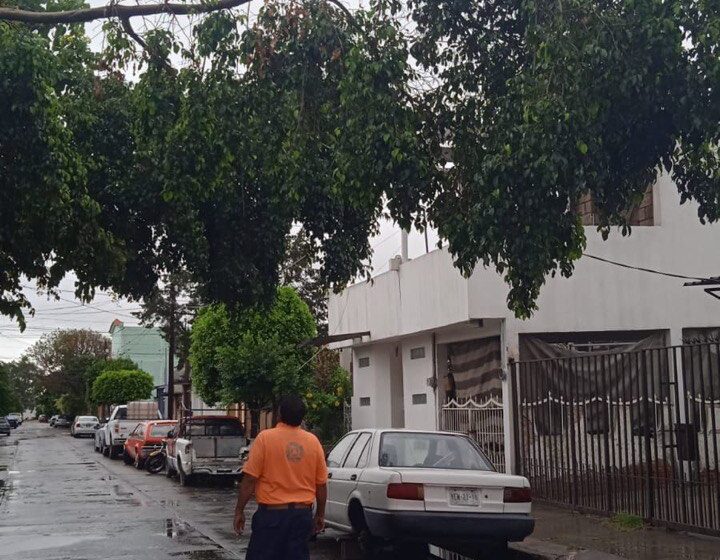  San Luis Potosí Responde a Incidentes por Lluvias: Socavón, Caída de Árbol y Acumulación de Agua