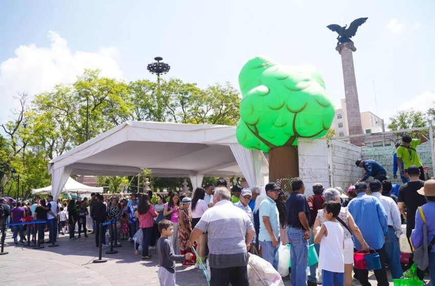  Masiva participación ciudadana en jornada de donación de árboles en Aguascalientes