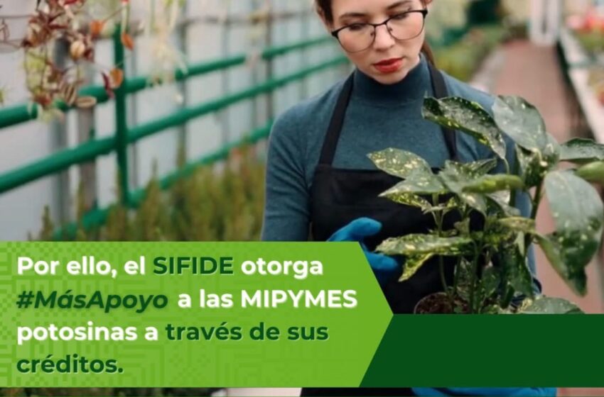  Sifide lidera a nivel nacional en apoyo financiero a emprendedores y empresas