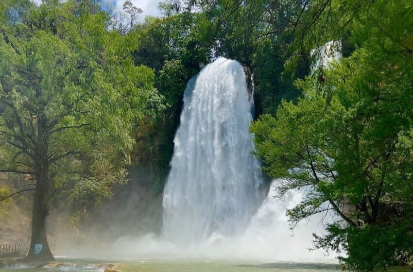  San Luis Potosí prepara sus cascadas para recibir a turistas este verano