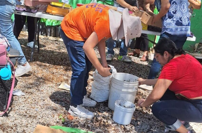  Ciudad Valles impulsa el medio ambiente: Capacitación y reforestación a gran escala