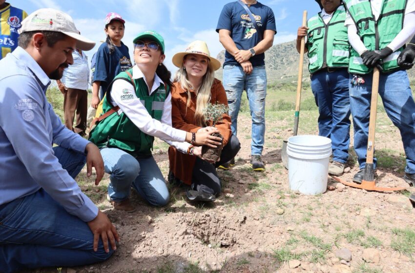  SECESP y SEGAM unen esfuerzos para reforestar sierra de San Miguelito