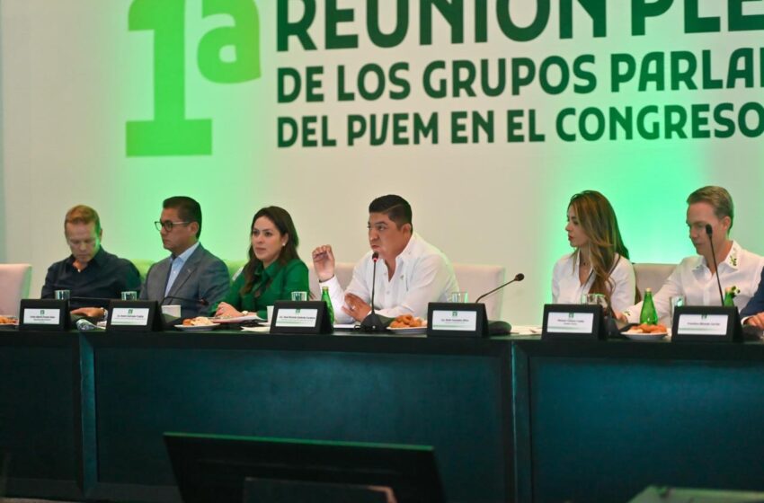  Reconocen liderazgos nacionales del Partido Verde a Ricardo Gallardo como el mejor Gobernador