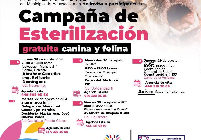  Municipio de Aguascalientes anuncia nuevas fechas para campaña de esterilización gratuita de mascotas