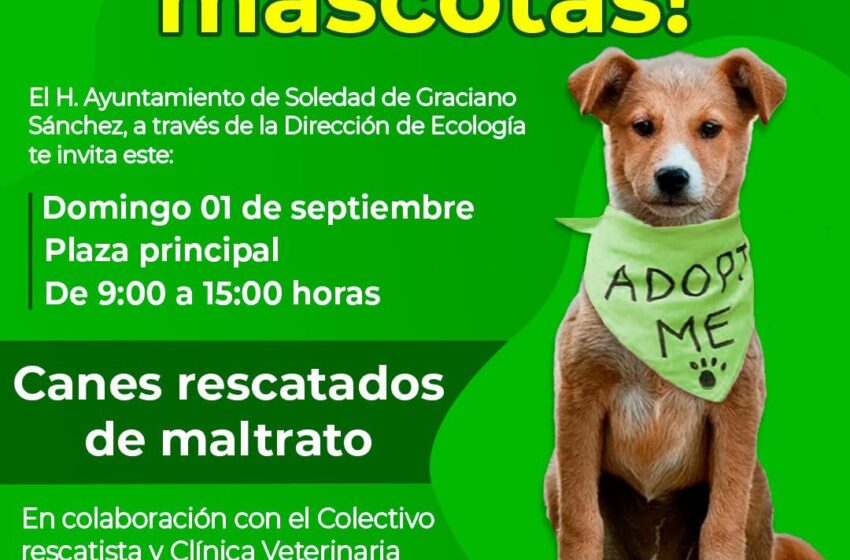  Ayuntamiento de Soledad Impulsa la Adopción Responsable de Mascotas