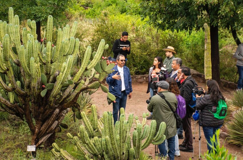  Jardín Botánico El Izotal de la UASLP ofrece asesoría gratuita para iniciar jardines, techos verdes y paisajismo con especies endémicas