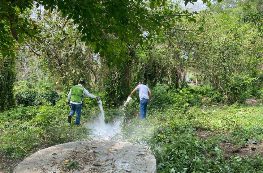  San Luis Potosí refuerza las medidas de control contra el dengue, zika y chikungunya