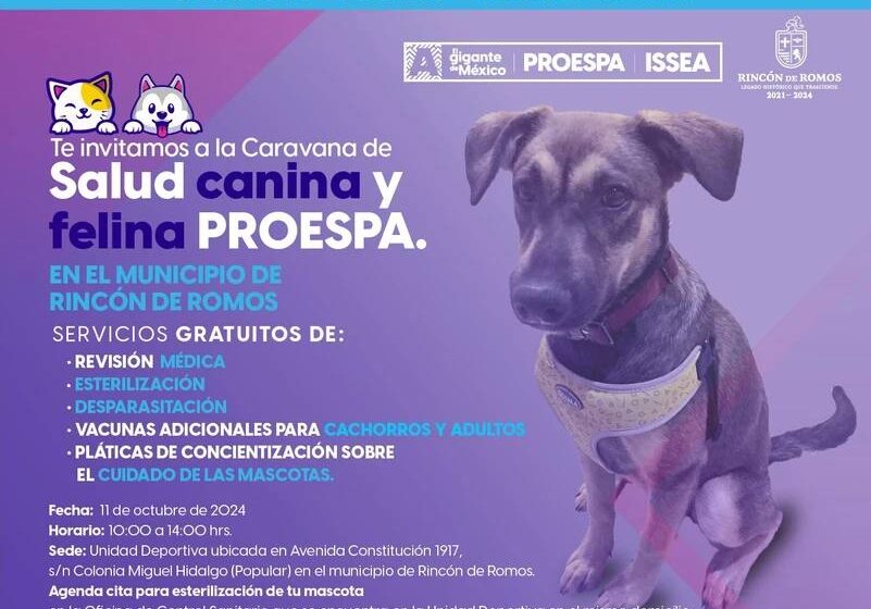  Jornada de Servicios Veterinarios Gratuitos en Rincón de Romos