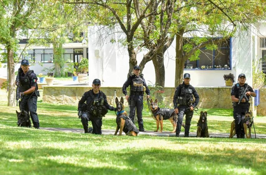  Elementos del Grupo K-9 de Aguascalientes se Capacitan y Certifican en Estados Unidos